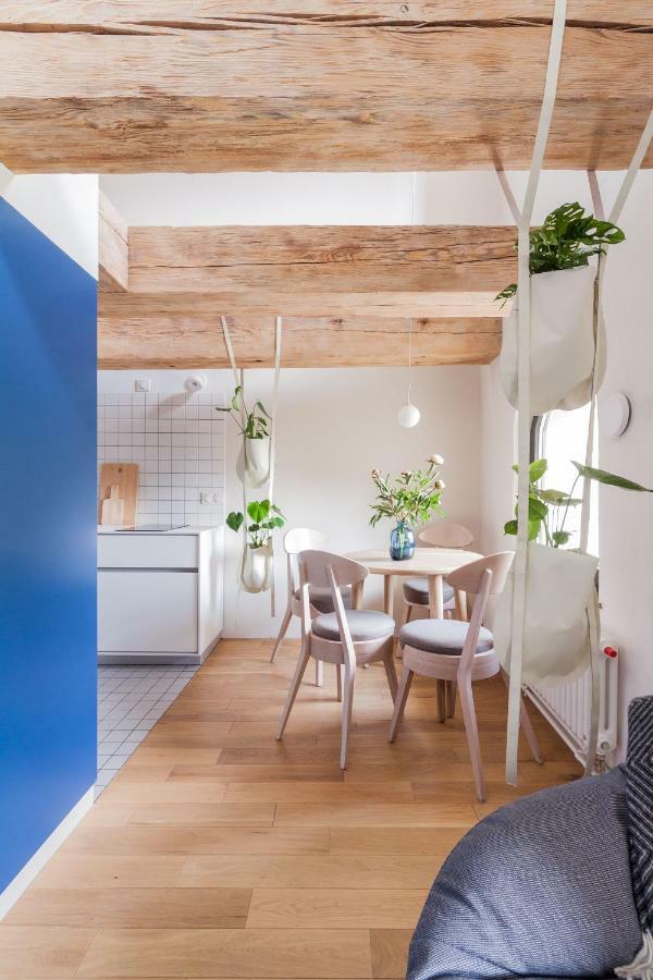 Stary Toruń Apartamenty Monka المظهر الخارجي الصورة
